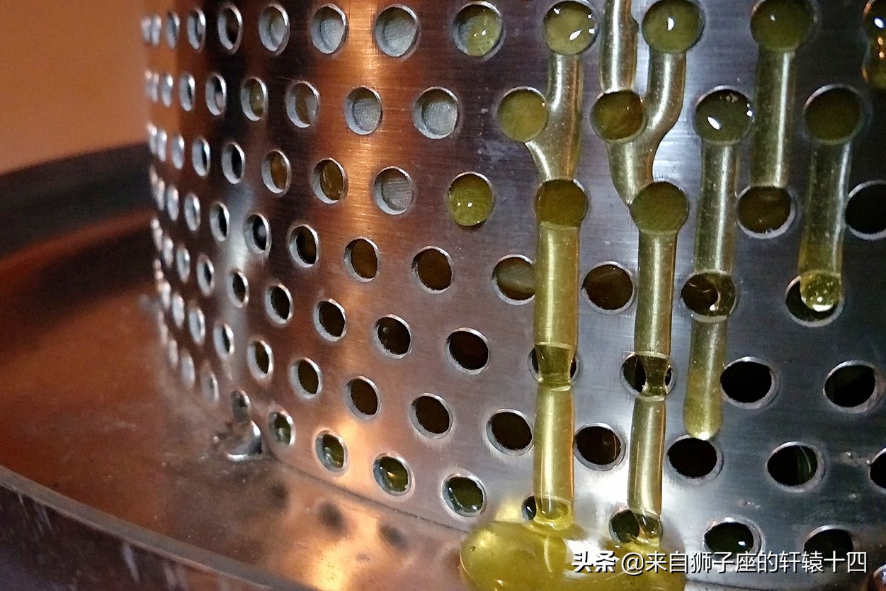 探尋養蜂人，取蜂蜜要用煙熏