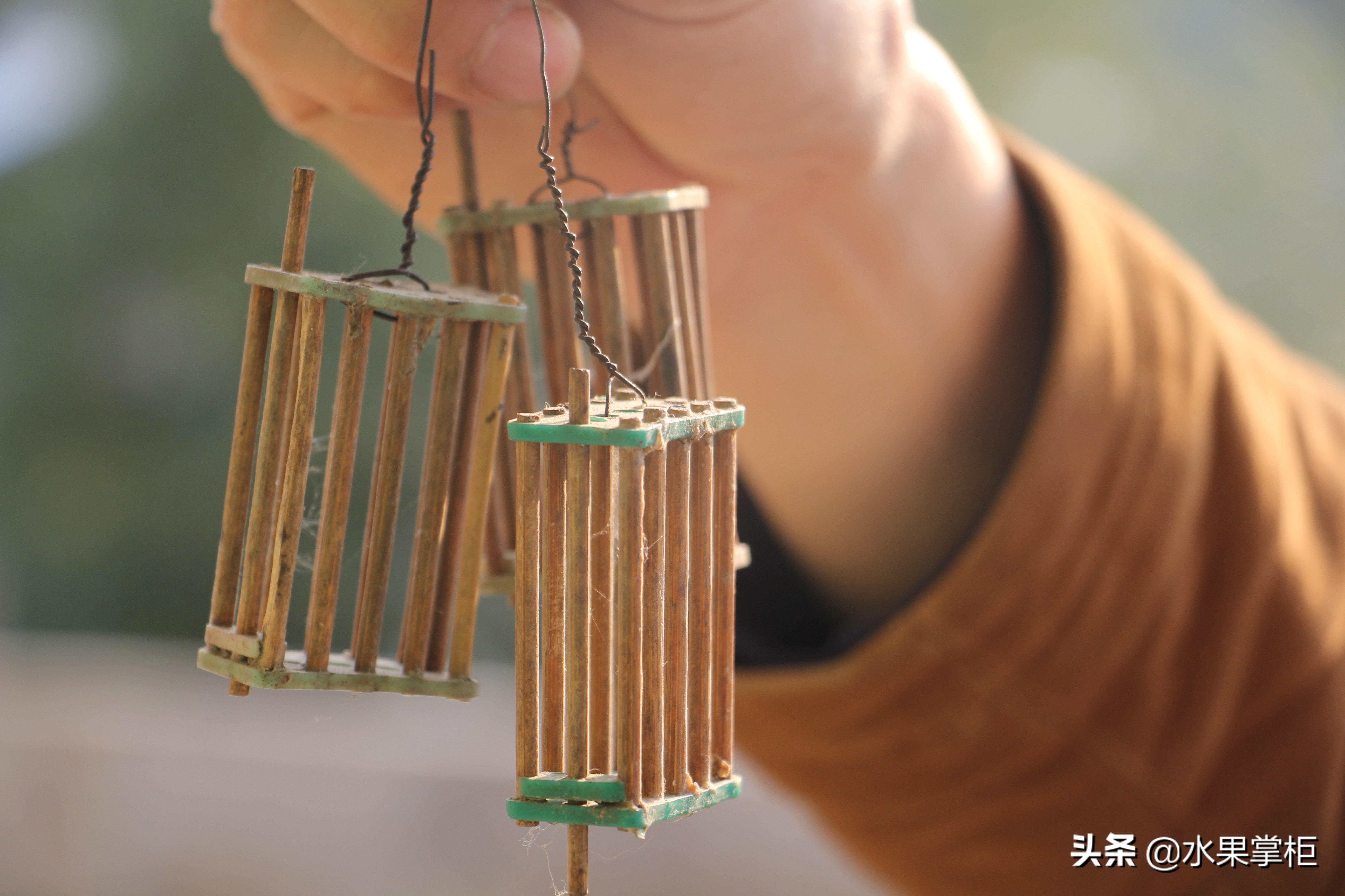 漲知識：農(nóng)家養(yǎng)土蜂蜜的工具，你認識幾個？留言回復，連載哦