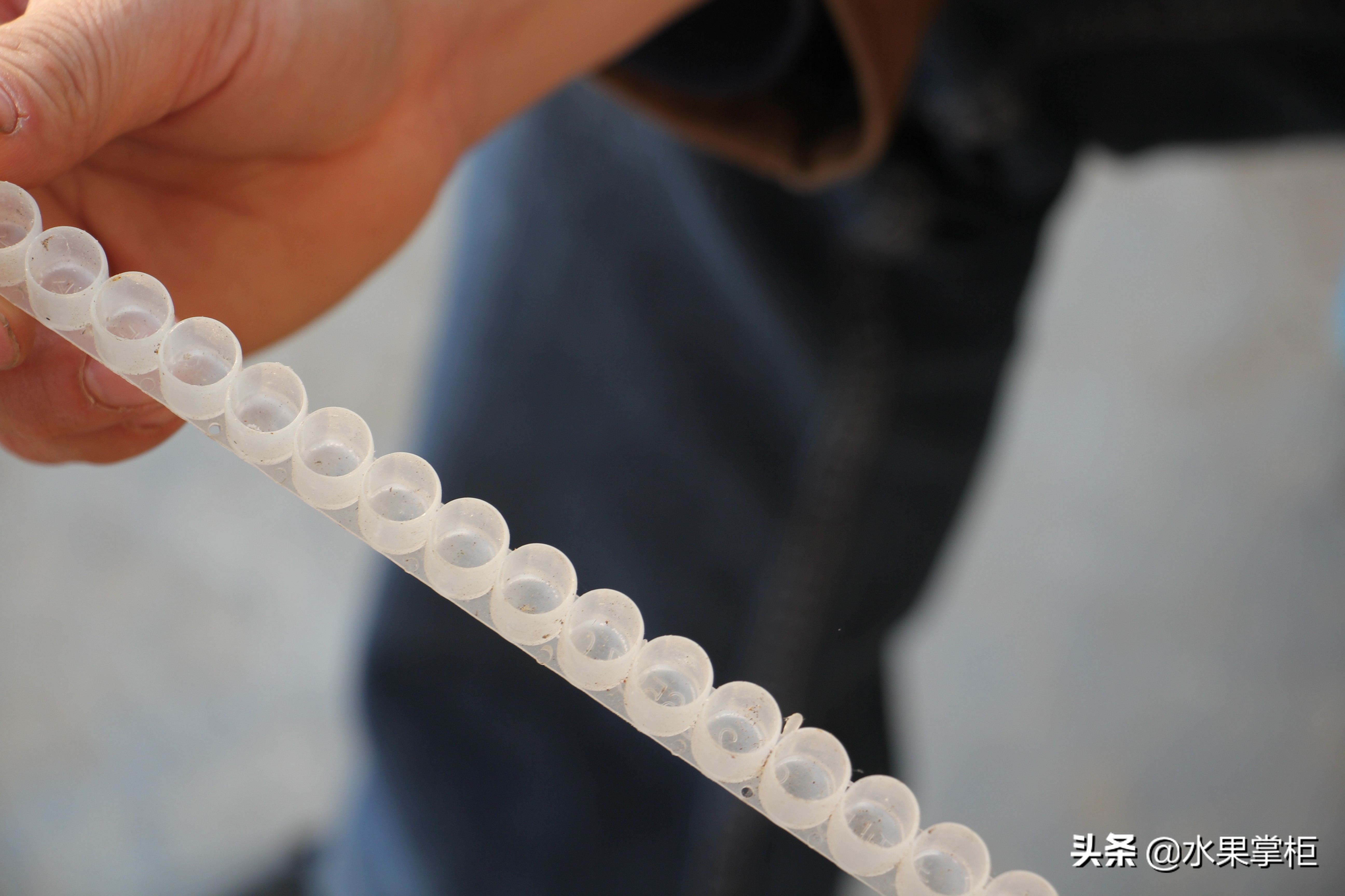 漲知識：農(nóng)家養(yǎng)土蜂蜜的工具，你認識幾個？留言回復，連載哦