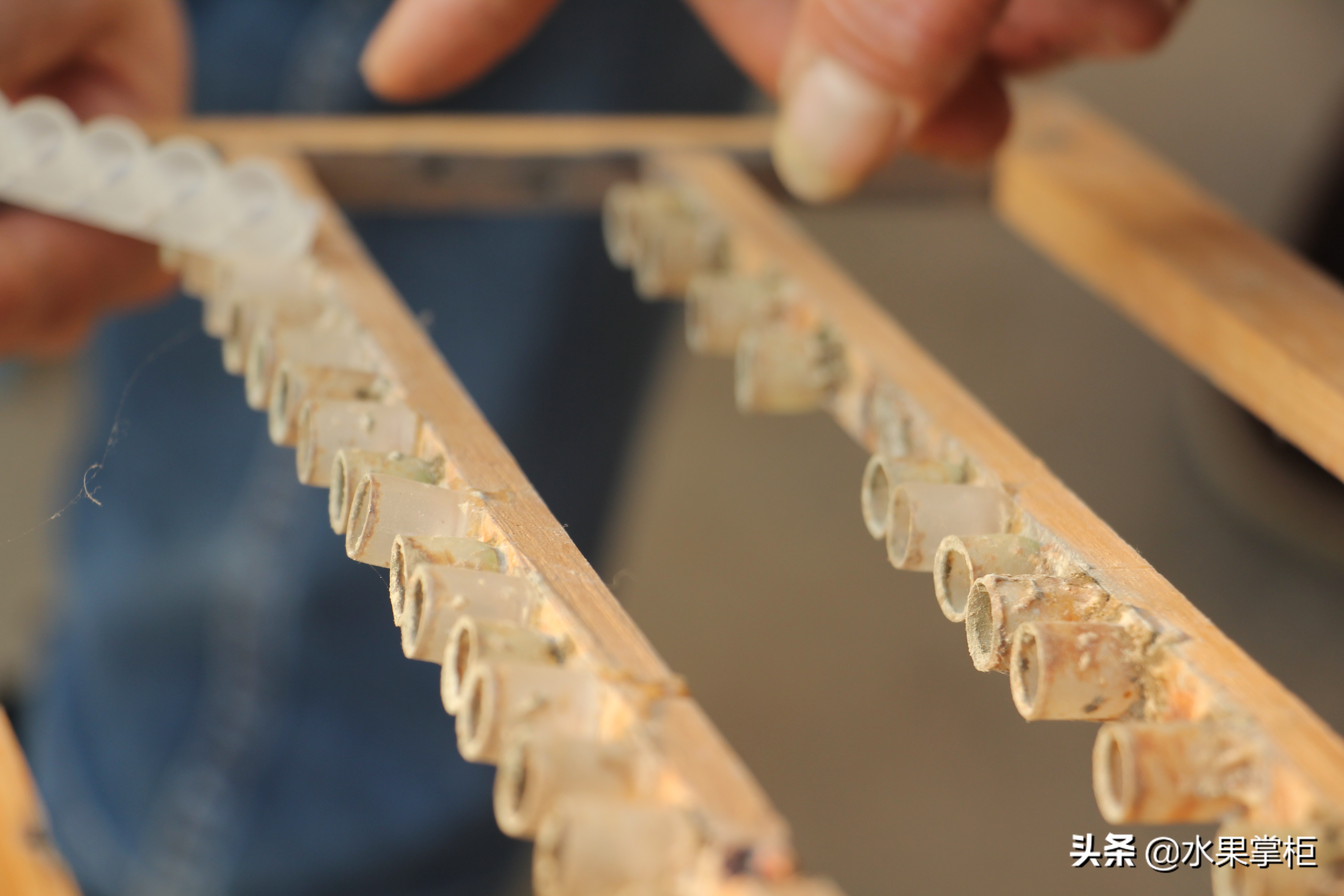 漲知識：農(nóng)家養(yǎng)土蜂蜜的工具，你認識幾個？留言回復，連載哦