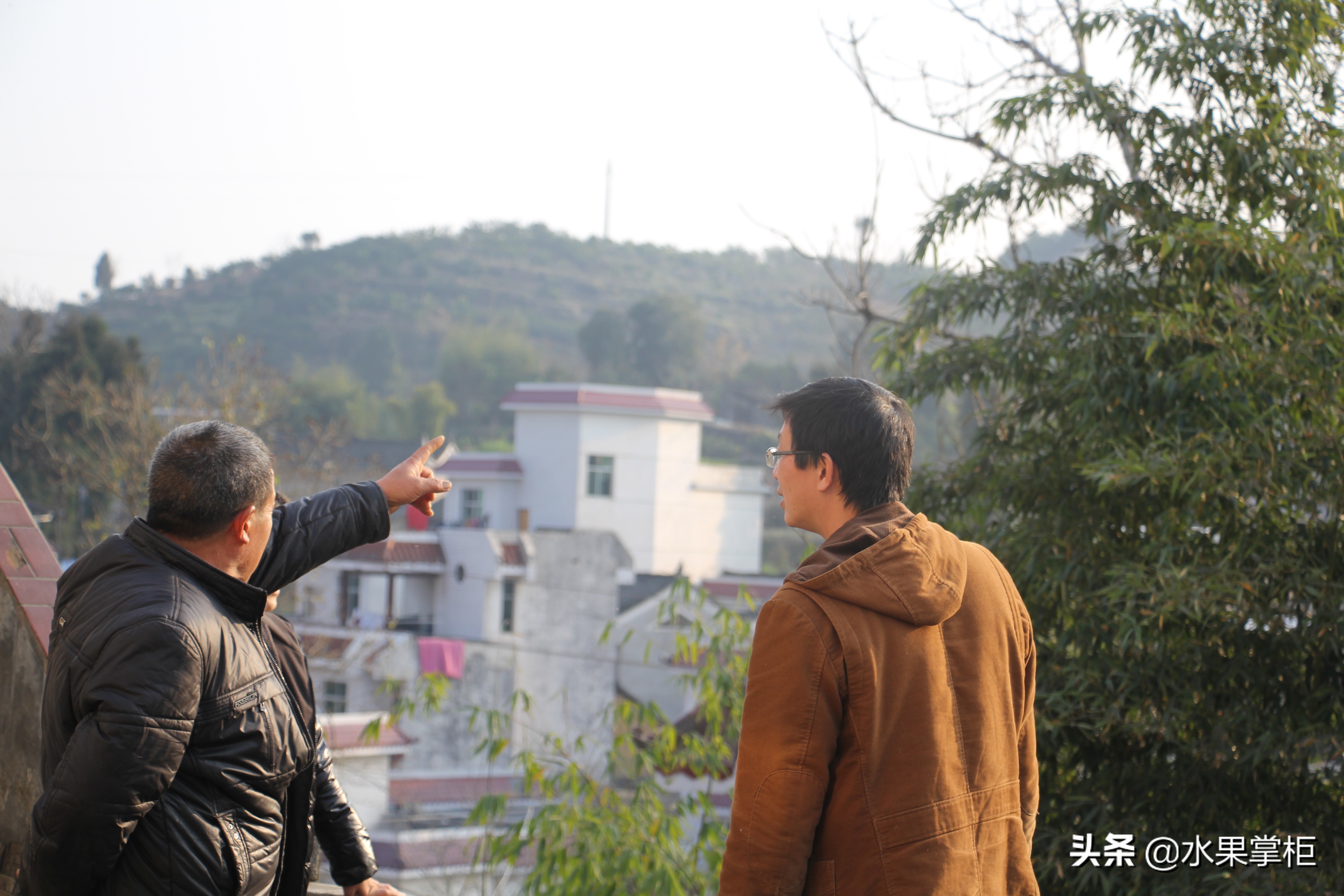 漲知識：農(nóng)家養(yǎng)土蜂蜜的工具，你認識幾個？留言回復，連載哦