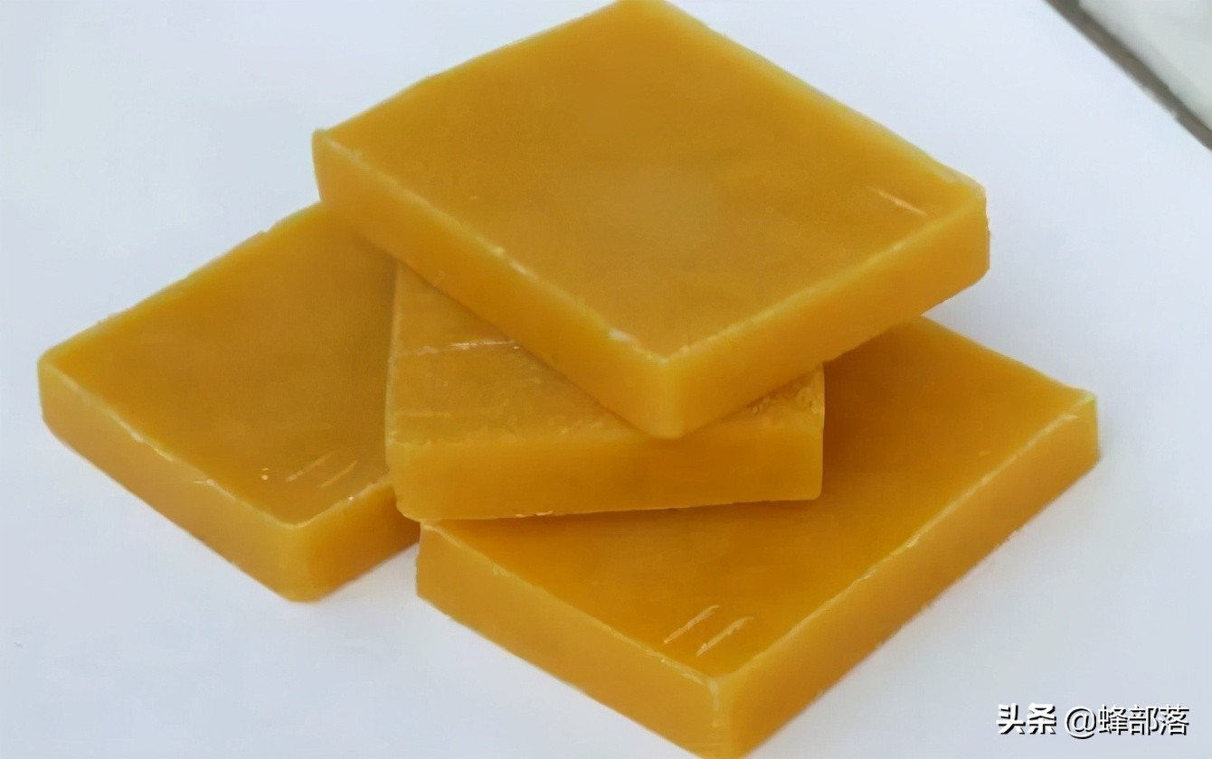 意大利引進(jìn)國(guó)內(nèi)的蜜蜂，嚴(yán)重危害中華蜜蜂，為啥我國(guó)還要大量養(yǎng)殖？