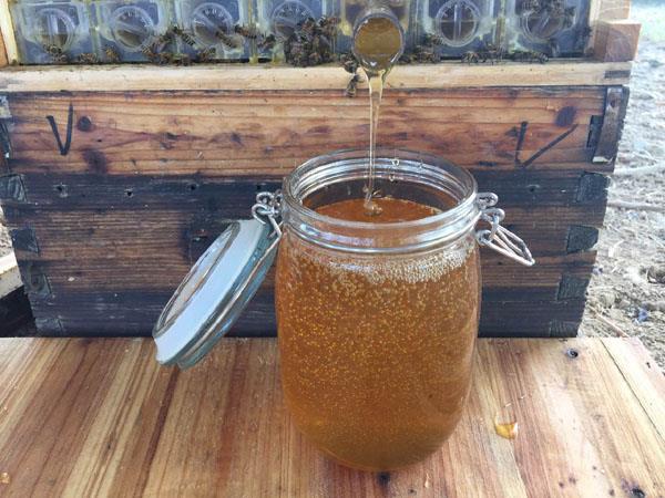 濃縮蜜和原蜜怎么區別