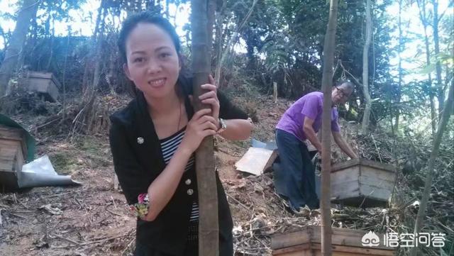 養(yǎng)蜂人是怎么養(yǎng)蜂的(如何才能學(xué)會養(yǎng)蜂?)