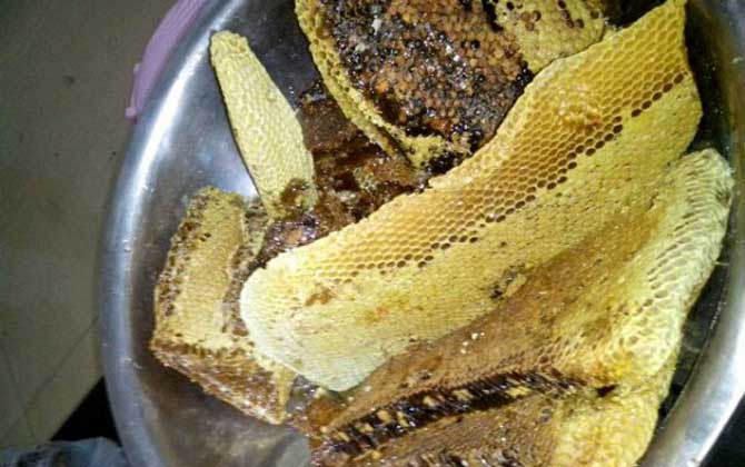 土養(yǎng)蜜蜂取蜜在什么時候好 土養(yǎng)蜜蜂取蜜在什么時候好