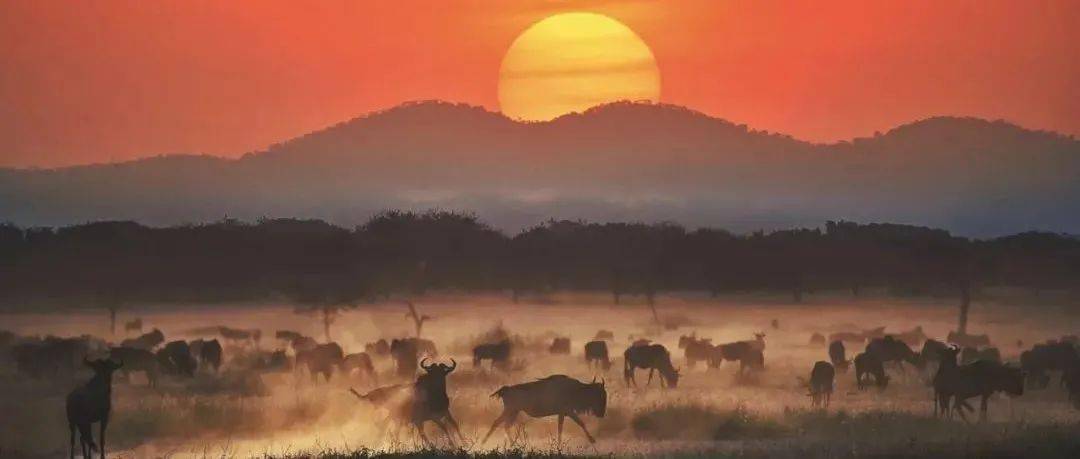 哪一程的旅行滿足了你對「去遠方」的美好幻想