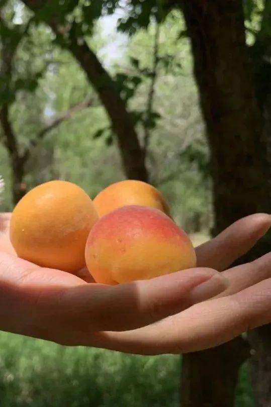 哪一程的旅行滿足了你對「去遠方」的美好幻想