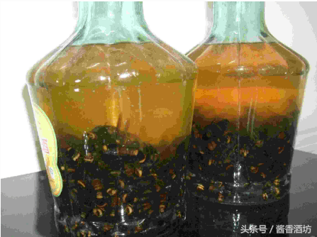 金環胡蜂泡酒有什么功效(金環虎頭蜂泡酒和藥用價值) 如何浸泡金環胡蜂酒,金環胡蜂酒制作方法