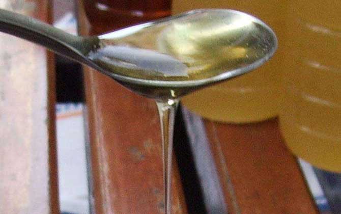 中國蜂蜜有什么種類(中國四大蜂蜜種類及排名) 中國蜂蜜有什么種類(中國四大蜂蜜種類及排名)