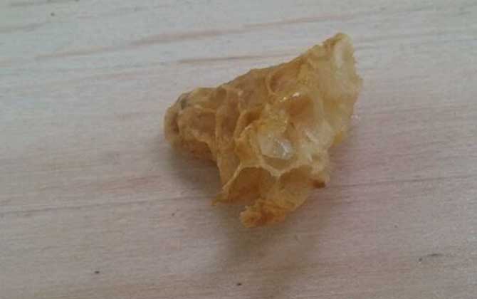 人造王臺(tái)蜂王會(huì)產(chǎn)卵嗎 人造王臺(tái)蜂王會(huì)產(chǎn)卵嗎