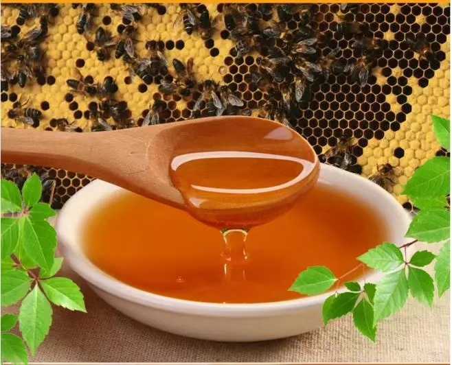 新疆蜂蜜是什么蜜蜂產(chǎn)的(新疆的蜂蜜品種都有哪些) 新疆蜂蜜是什么蜜蜂產(chǎn)的(新疆的蜂蜜品種都有哪些)