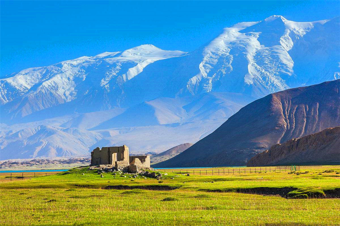 帕米爾高原的香鼬為何散發(fā)一種香氣? 新疆帕米爾高原發(fā)現(xiàn)香鼬,不足1斤,敢捕食比自己重100倍的盤(pán)羊