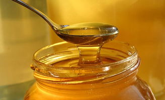 什么是蜂蜜(什么樣的蜂蜜是最好的) 什么是蜂蜜(什么樣的蜂蜜是最好的)