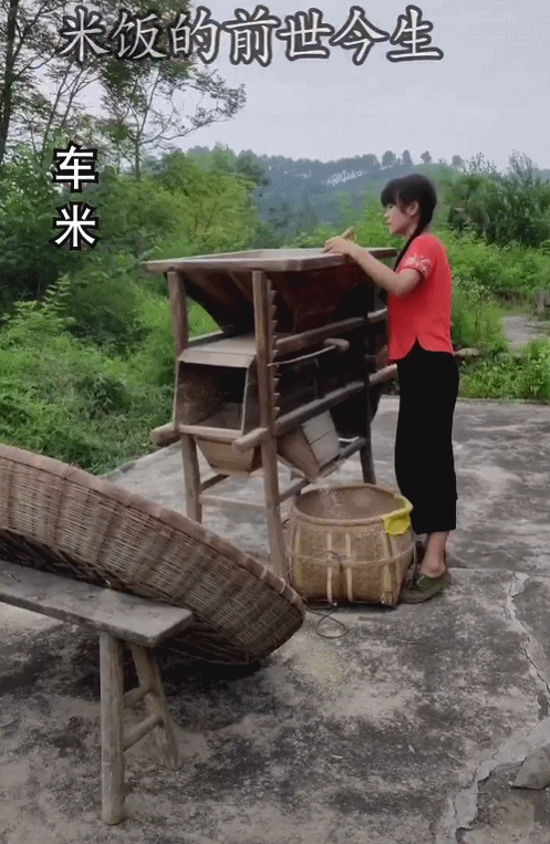 95后“村姑”靠直播插秧當(dāng)上網(wǎng)紅(犁田、插秧、打鐵,真農(nóng)活界“十項(xiàng)全能”)