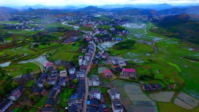 95后“村姑”靠直播插秧當(dāng)上網(wǎng)紅(犁田、插秧、打鐵,真農(nóng)活界“十項(xiàng)全能”)