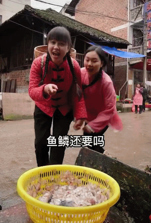 95后“村姑”靠直播插秧當(dāng)上網(wǎng)紅(犁田、插秧、打鐵,真農(nóng)活界“十項(xiàng)全能”)