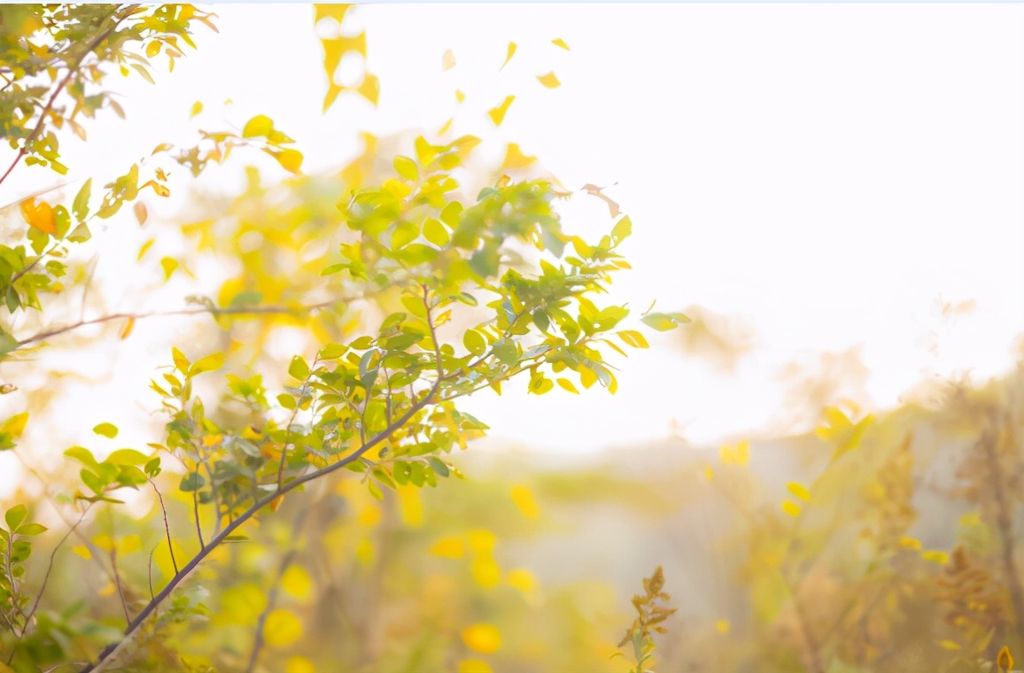 越是無人懂你，越要愛自己（沒有人會永遠愛你，除了你自己）