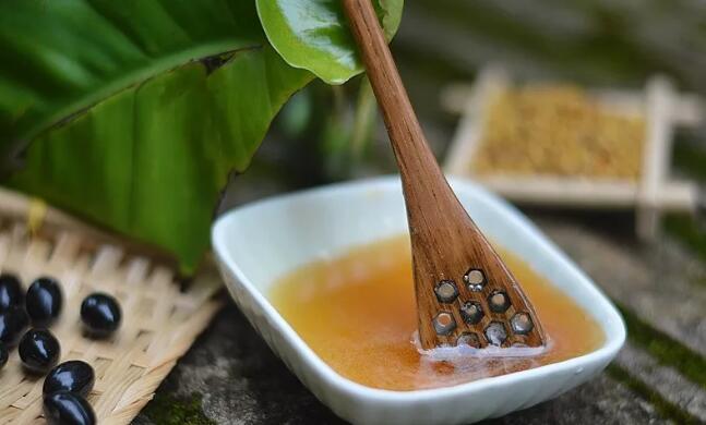 黑色的馬蜂是什么品種(黑黑的馬蜂是什么蜂) 黑色的馬蜂是什么品種(黑黑的馬蜂是什么蜂)