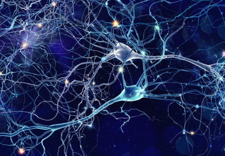 由10萬個銀河系組成!拉尼亞凱亞超星系團,是宇宙最大結構 直徑5.2億光年,囊括10萬星系,拉尼亞凱亞超星系團有多可怕?