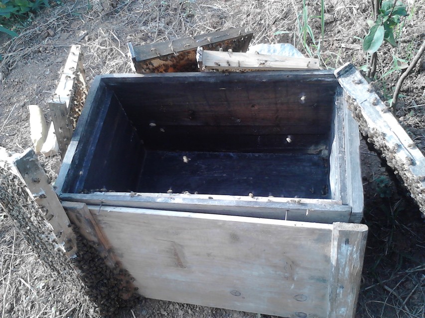 養(yǎng)中蜂在蜂場里喂水可以嗎(給蜂群喂水的五種方法及其利弊) 養(yǎng)中蜂在蜂場里喂水可以嗎(給蜂群喂水的五種方法及其利弊)