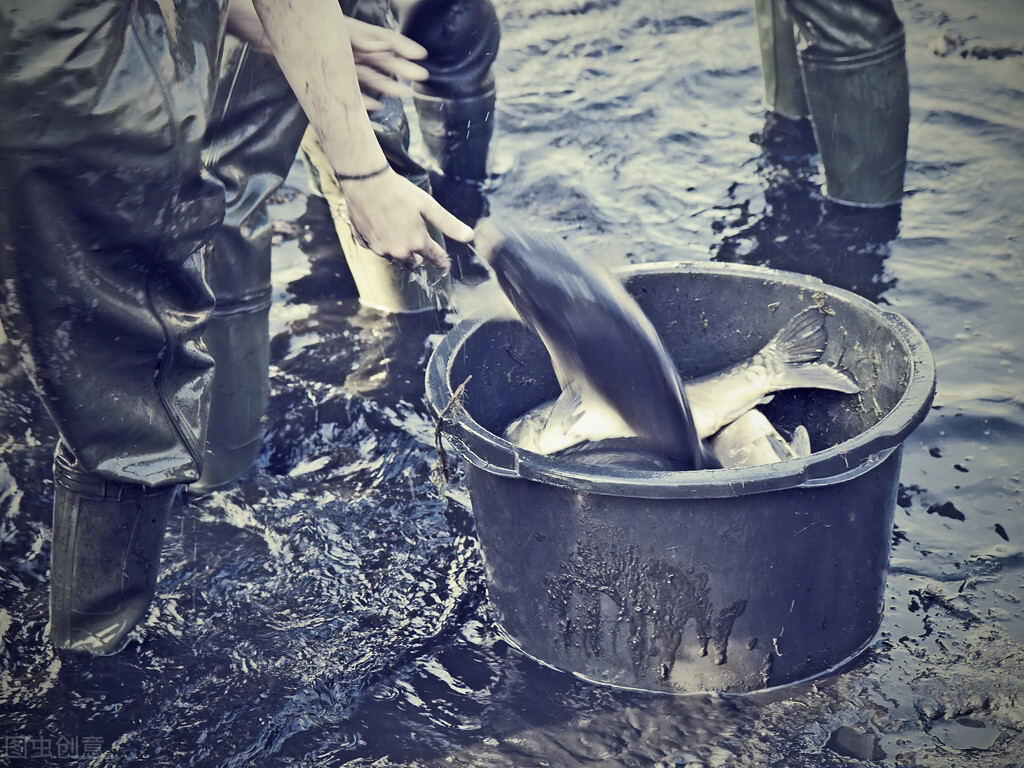 釣魚人常遇到的5件“怪事”，我相信你也遇到過，我遇到好幾次