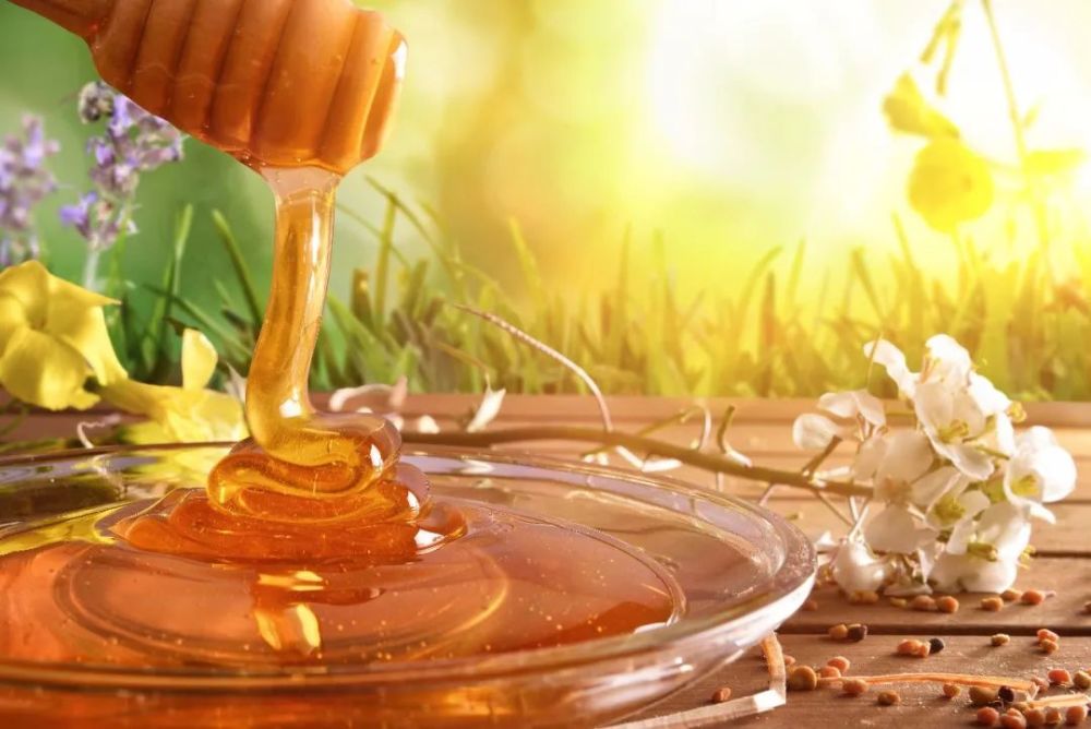 常見蜂蜜有多少種類(附帶我國常見的24種蜂蜜) 常見蜂蜜有多少種類(附帶我國常見的24種蜂蜜)