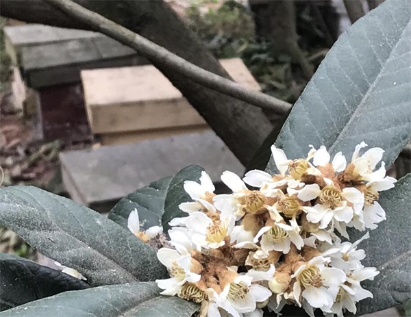 初級農(nóng)產(chǎn)品是指什么(農(nóng)產(chǎn)品初級產(chǎn)品加工定義) 初級農(nóng)產(chǎn)品是指什么(農(nóng)產(chǎn)品初級產(chǎn)品加工定義)