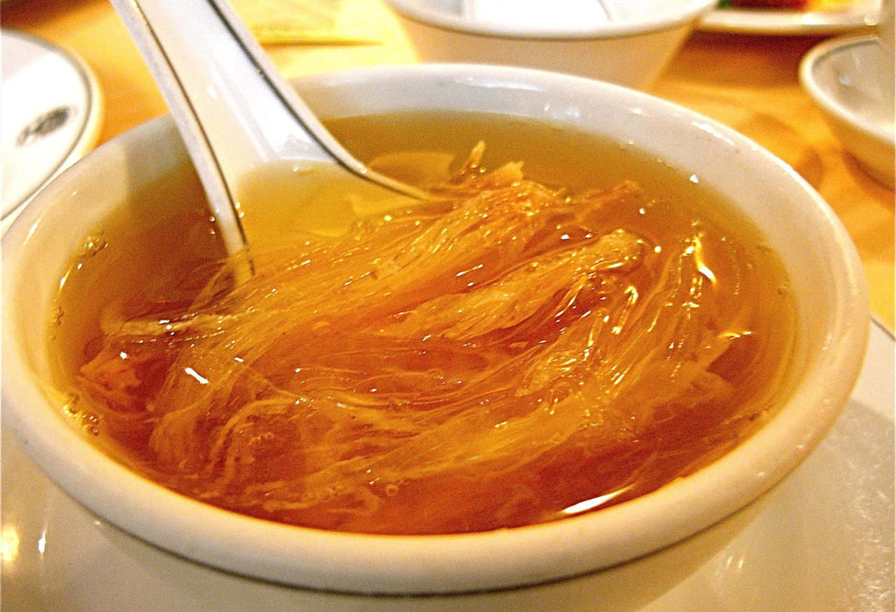 全球每年銷售魚翅140萬噸，殺死1億條鯊魚，為何不能人工飼養？