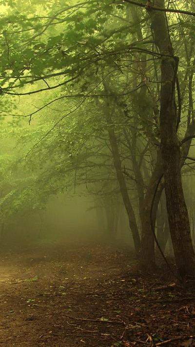 樓頂養(yǎng)蜂對風(fēng)水有影響嗎(養(yǎng)蜂的風(fēng)水禁忌) 樓頂養(yǎng)蜂對風(fēng)水有影響嗎(養(yǎng)蜂的風(fēng)水禁忌)