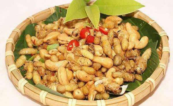 【蜜蜂知識】蜂蛹和蠶蛹的區別 蜂蛹和蠶蛹的區別