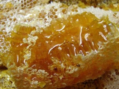 哪里有土蜂蜜(真正的正宗土蜂蜜在哪里買) 哪里有土蜂蜜(真正的正宗土蜂蜜在哪里買)