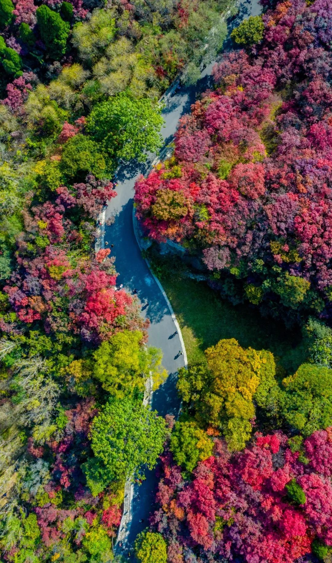 國內有哪些海邊可以露營看星星的地方推薦 有篝火、有星空!山東私藏的這些自駕露營地景美人少,現在就出發!