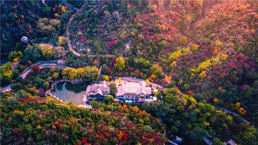 國內有哪些海邊可以露營看星星的地方推薦 有篝火、有星空!山東私藏的這些自駕露營地景美人少,現在就出發!