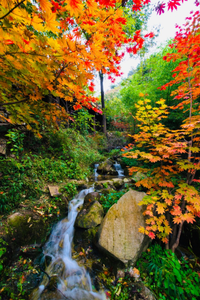 國內有哪些海邊可以露營看星星的地方推薦 有篝火、有星空!山東私藏的這些自駕露營地景美人少,現在就出發!