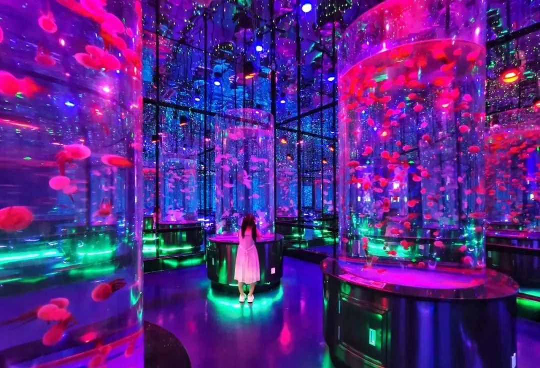 國內有哪些海邊可以露營看星星的地方推薦 有篝火、有星空!山東私藏的這些自駕露營地景美人少,現在就出發!