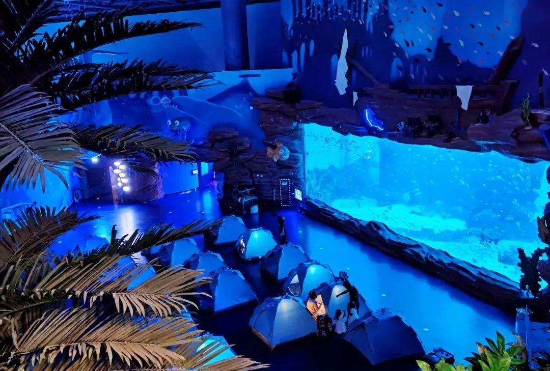 國內有哪些海邊可以露營看星星的地方推薦 有篝火、有星空!山東私藏的這些自駕露營地景美人少,現在就出發!