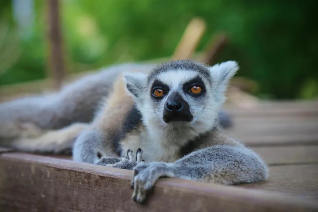國內有哪些海邊可以露營看星星的地方推薦 有篝火、有星空!山東私藏的這些自駕露營地景美人少,現在就出發!