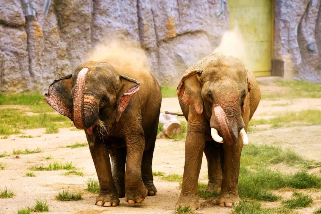 國內有哪些海邊可以露營看星星的地方推薦 有篝火、有星空!山東私藏的這些自駕露營地景美人少,現在就出發!