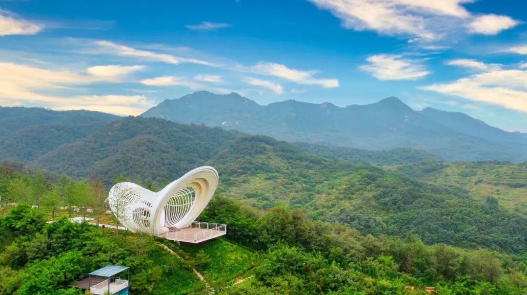 國內有哪些海邊可以露營看星星的地方推薦 有篝火、有星空!山東私藏的這些自駕露營地景美人少,現在就出發!