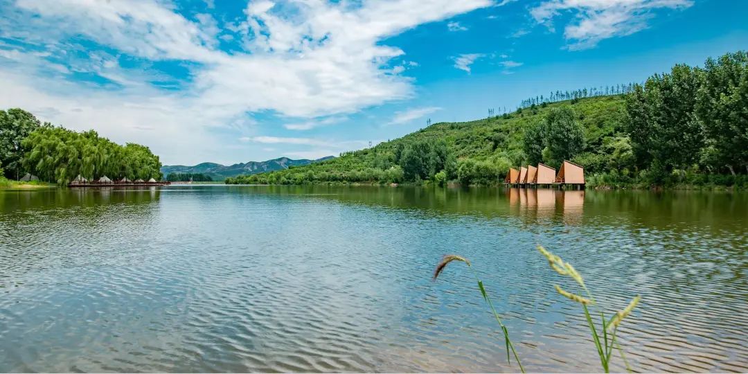 國內有哪些海邊可以露營看星星的地方推薦 有篝火、有星空!山東私藏的這些自駕露營地景美人少,現在就出發!