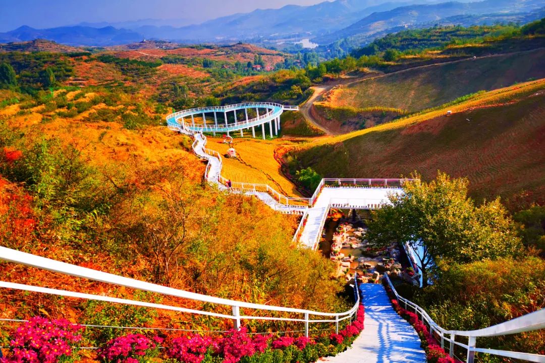 國內有哪些海邊可以露營看星星的地方推薦 有篝火、有星空!山東私藏的這些自駕露營地景美人少,現在就出發!