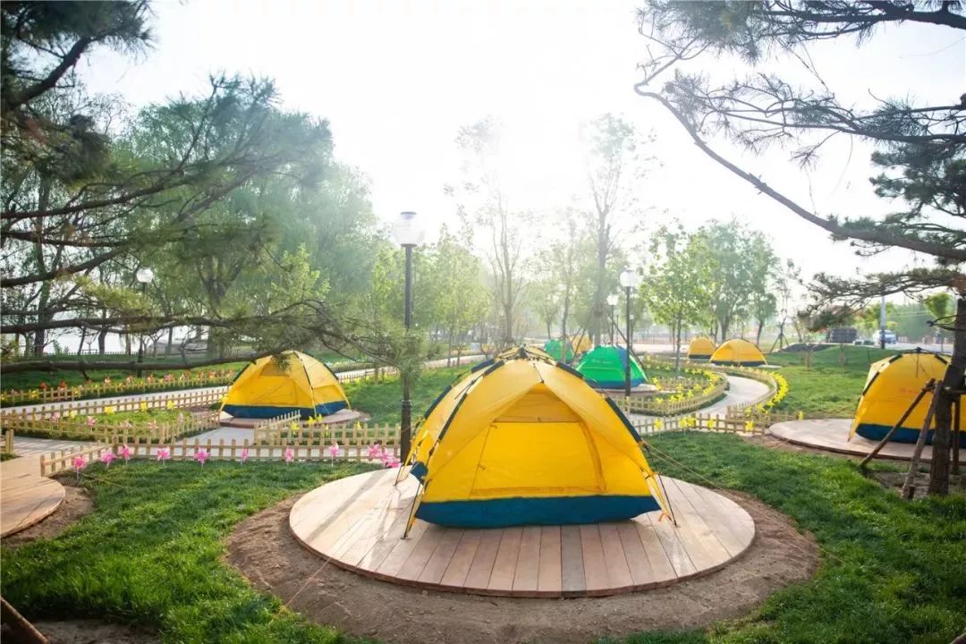 國內有哪些海邊可以露營看星星的地方推薦 有篝火、有星空!山東私藏的這些自駕露營地景美人少,現在就出發!