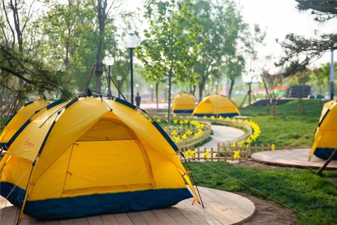 國內有哪些海邊可以露營看星星的地方推薦 有篝火、有星空!山東私藏的這些自駕露營地景美人少,現在就出發!