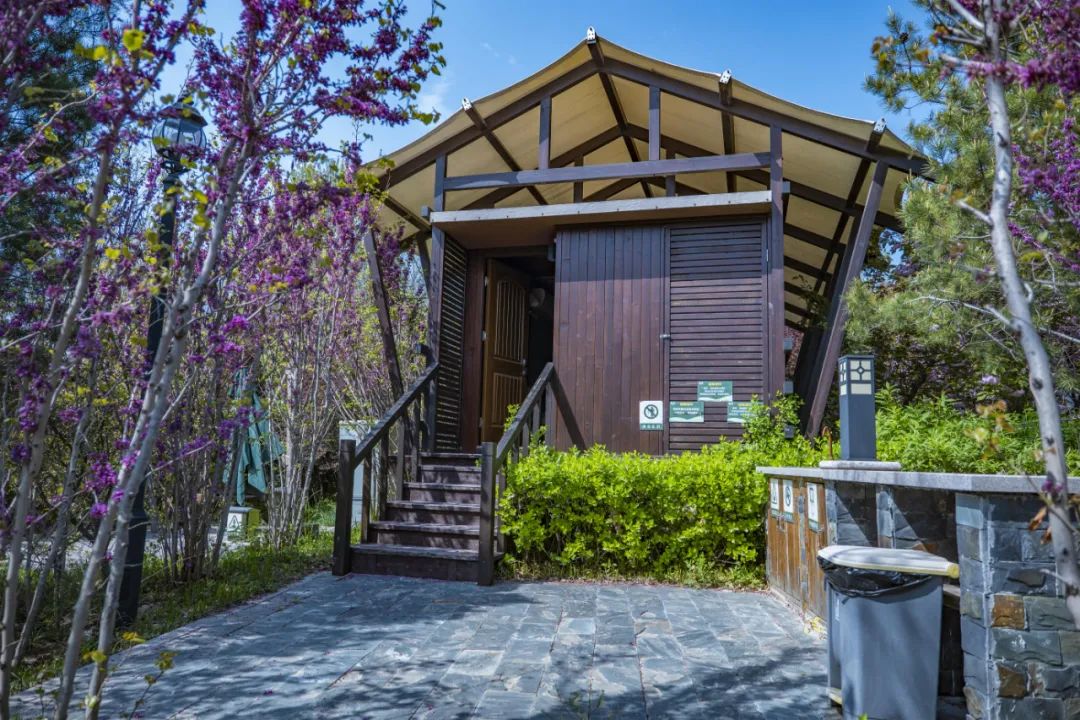 國內有哪些海邊可以露營看星星的地方推薦 有篝火、有星空!山東私藏的這些自駕露營地景美人少,現在就出發!