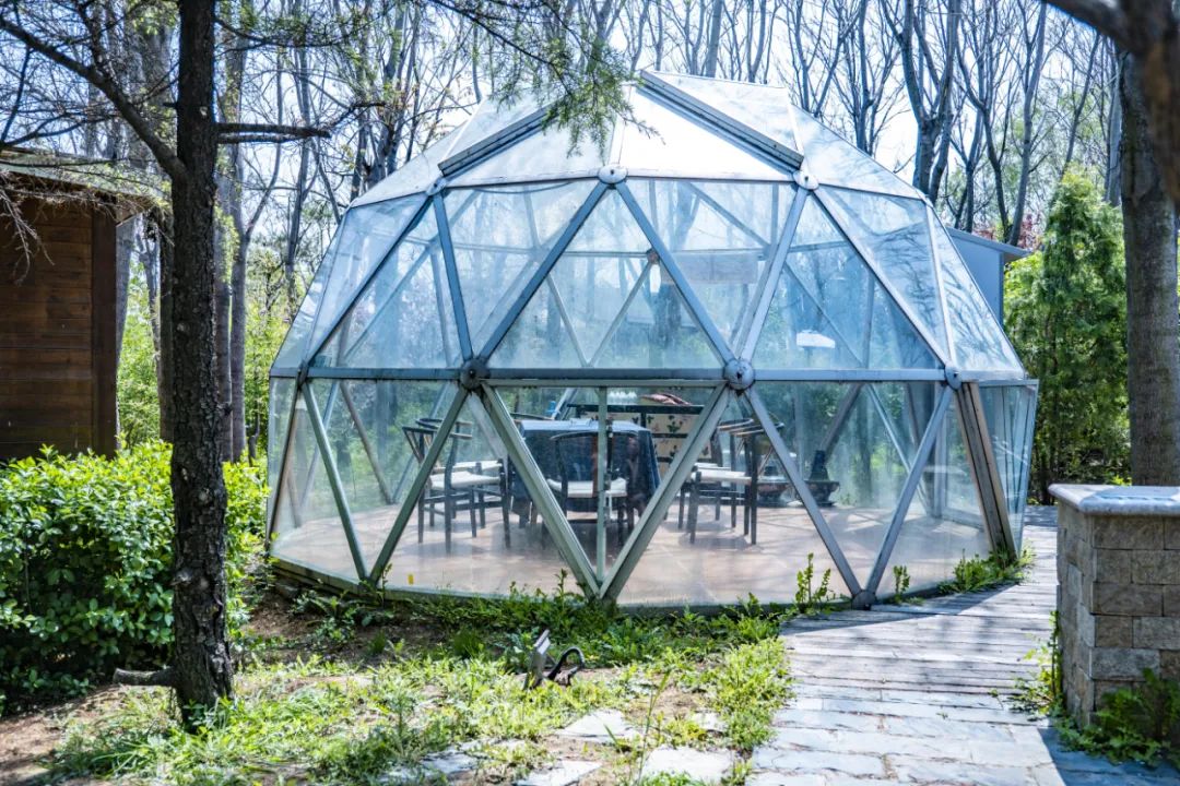 國內有哪些海邊可以露營看星星的地方推薦 有篝火、有星空!山東私藏的這些自駕露營地景美人少,現在就出發!