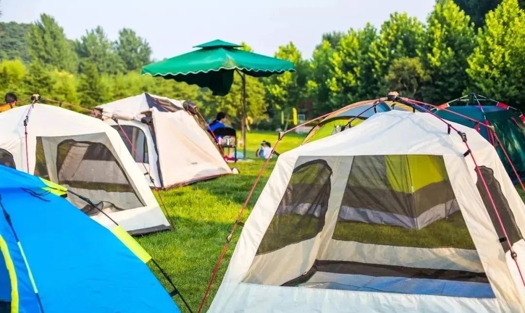 國內有哪些海邊可以露營看星星的地方推薦 有篝火、有星空!山東私藏的這些自駕露營地景美人少,現在就出發!