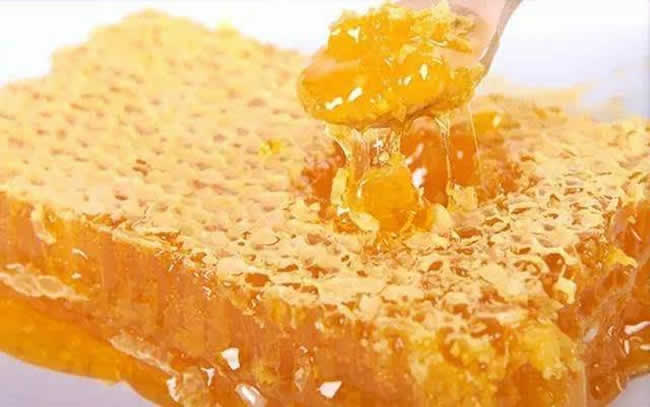 什么是蜜蜂巢脾？