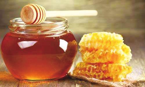 柑橘泌蜜的條件(柑橘蜜流蜜的條件) 柑橘泌蜜的條件(柑橘蜜流蜜的條件)