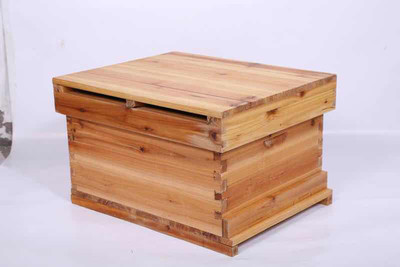 蜜蜂春繁快速繁殖技術(蜜蜂怎樣才能快速春繁) 蜜蜂春繁快速繁殖技術(蜜蜂怎樣才能快速春繁)