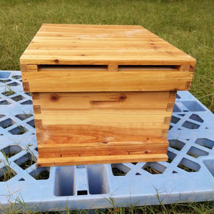 新手養蜂怎樣把蜂引進蜂箱(怎樣把蜜蜂引到蜂箱里) 新手養蜂怎樣把蜂引進蜂箱(怎樣把蜜蜂引到蜂箱里)